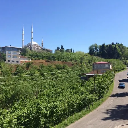 Nature & Trabzon